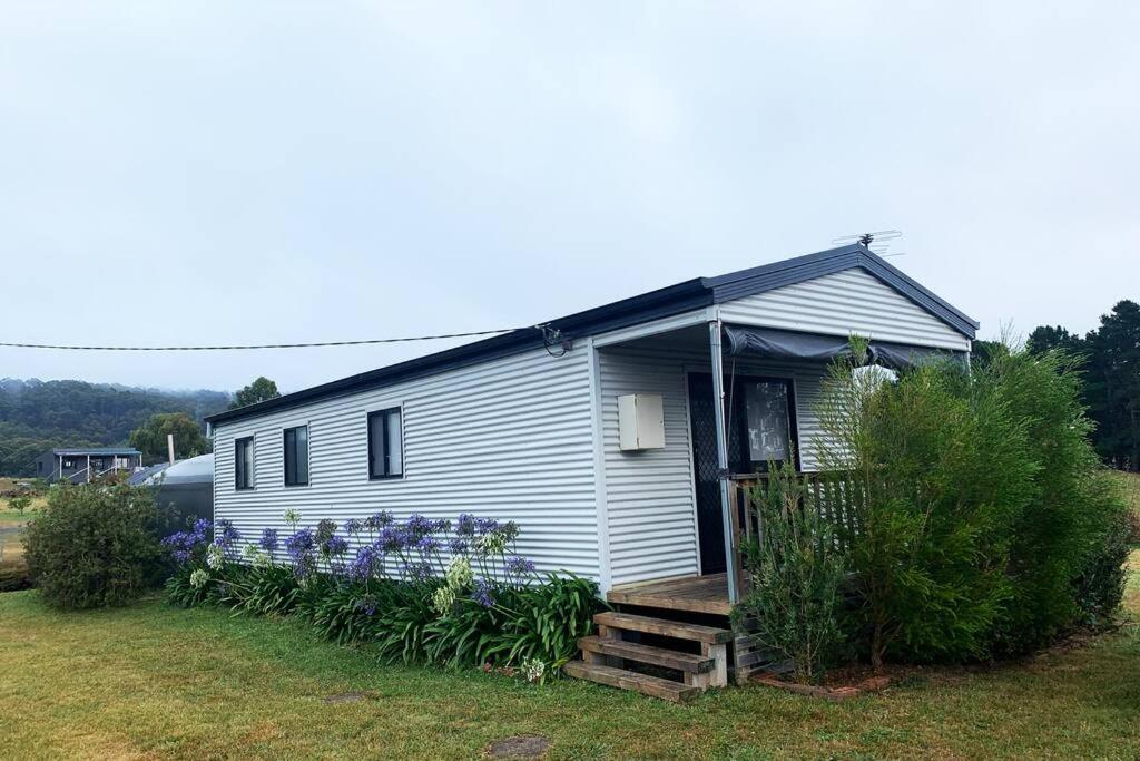 Beach Cottage - Port Arthur Exterior photo